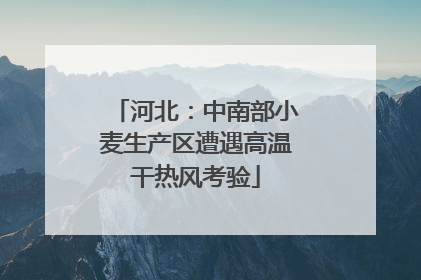 河北：中南部小麦生产区遭遇高温干热风考验