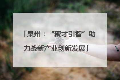 泉州：“聚才引智”助力战新产业创新发展