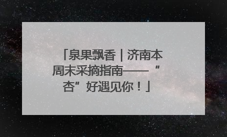 泉果飘香｜济南本周末采摘指南——“杏”好遇见你！