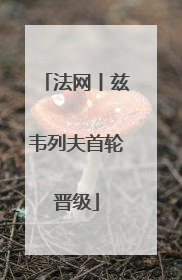 法网丨兹韦列夫首轮晋级