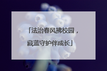 法治春风拂校园，藏蓝守护伴成长