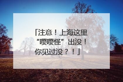 注意！上海这里“嘤嘤怪”出没！你见过没？！