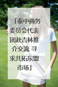 泰中商务委员会代表团赴吉林推介交流 寻求共拓东盟市场