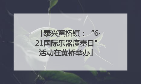 泰兴黄桥镇：“6·21国际乐器演奏日”活动在黄桥举办