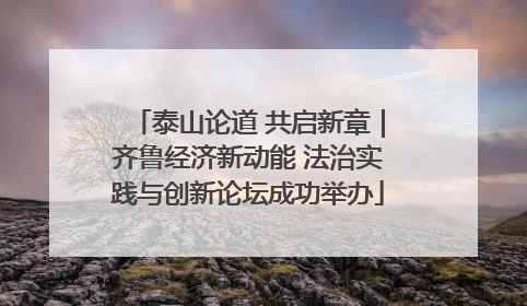 泰山论道 共启新章｜齐鲁经济新动能 法治实践与创新论坛成功举办