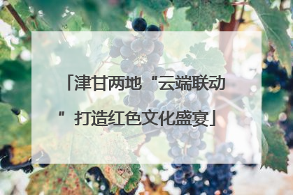 津甘两地“云端联动”打造红色文化盛宴