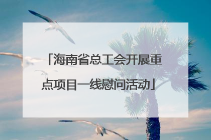 海南省总工会开展重点项目一线慰问活动