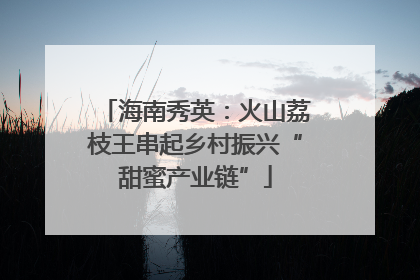 海南秀英：火山荔枝王串起乡村振兴“甜蜜产业链”