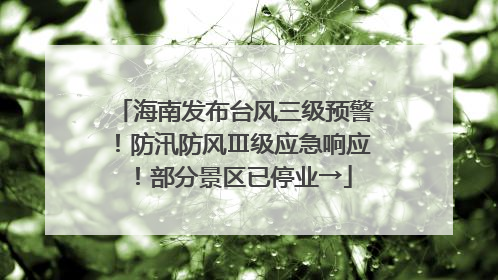海南发布台风三级预警！防汛防风Ⅲ级应急响应！部分景区已停业→