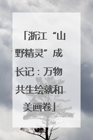 浙江“山野精灵”成长记：万物共生绘就和美画卷