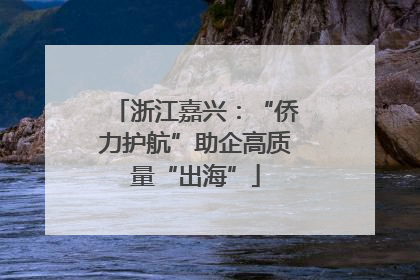 浙江嘉兴：“侨力护航”助企高质量“出海”
