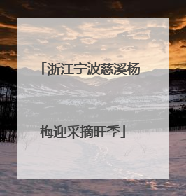 浙江宁波慈溪杨梅迎采摘旺季