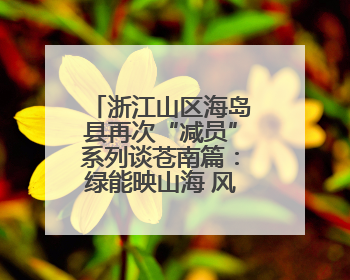 浙江山区海岛县再次“减员”系列谈苍南篇：绿能映山海 风吹共富帆