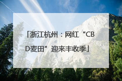 浙江杭州：网红“CBD麦田”迎来丰收季