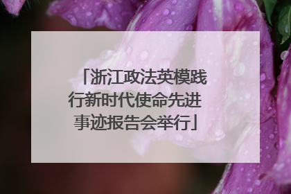浙江政法英模践行新时代使命先进事迹报告会举行