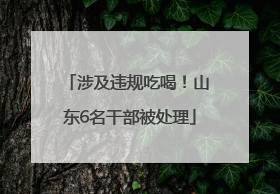 涉及违规吃喝！山东6名干部被处理