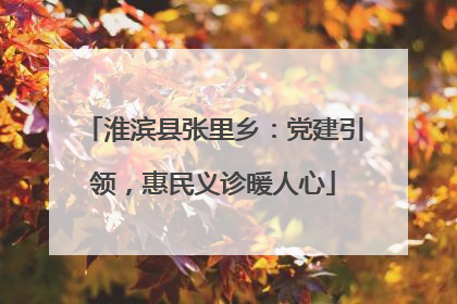 淮滨县张里乡：党建引领，惠民义诊暖人心