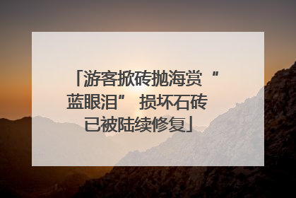 游客掀砖抛海赏“蓝眼泪” 损坏石砖已被陆续修复