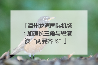 温州龙湾国际机场：加速长三角与粤港澳“两翼齐飞”