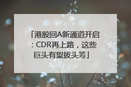 港股回A新通道开启：CDR再上路，这些巨头有望拔头筹