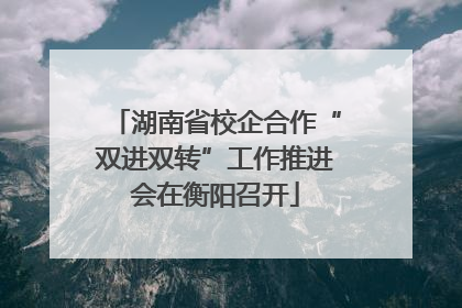 湖南省校企合作“双进双转”工作推进会在衡阳召开