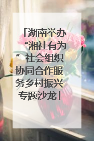 湖南举办“湘社有为”社会组织协同合作服务乡村振兴专题沙龙