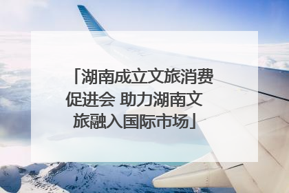 湖南成立文旅消费促进会 助力湖南文旅融入国际市场