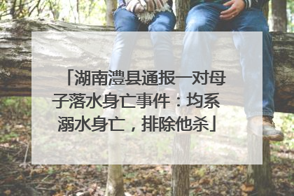 湖南澧县通报一对母子落水身亡事件：均系溺水身亡，排除他杀