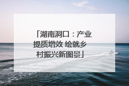 湖南洞口：产业提质增效 绘就乡村振兴新图景