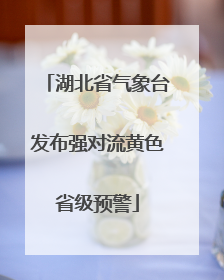 湖北省气象台发布强对流黄色省级预警