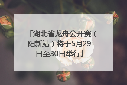 湖北省龙舟公开赛（阳新站）将于5月29日至30日举行
