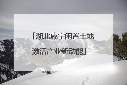 湖北咸宁闲置土地激活产业新动能