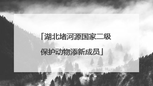 湖北堵河源国家二级保护动物添新成员