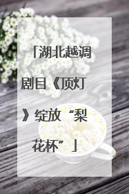 湖北越调剧目《顶灯》绽放“梨花杯”