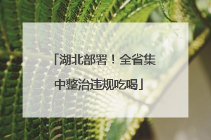 湖北部署！全省集中整治违规吃喝
