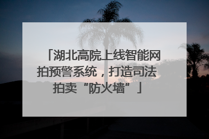 湖北高院上线智能网拍预警系统，打造司法拍卖“防火墙”