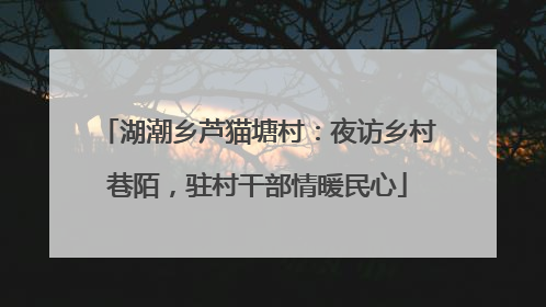 湖潮乡芦猫塘村：夜访乡村巷陌，驻村干部情暖民心