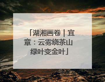 湖湘画卷｜宜章：云雾绕茶山 绿叶变金叶