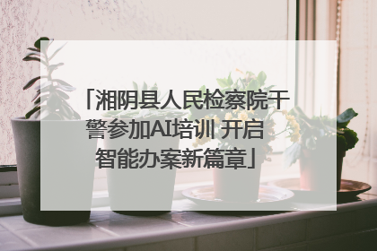 湘阴县人民检察院干警参加AI培训 开启智能办案新篇章