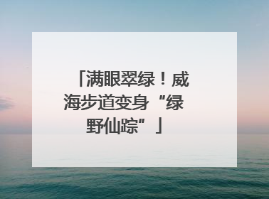 满眼翠绿！威海步道变身“绿野仙踪”