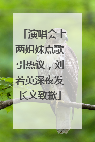 演唱会上两姐妹点歌引热议，刘若英深夜发长文致歉