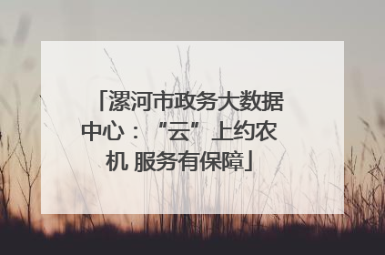 漯河市政务大数据中心：“云”上约农机 服务有保障