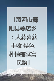 漯河市舞阳县姜店乡：大蒜喜获丰收 特色种植铺就富民路