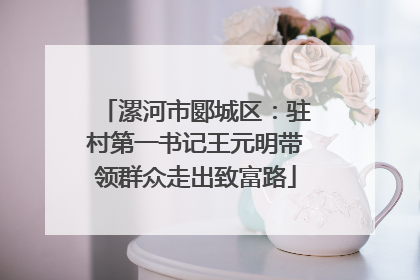漯河市郾城区：驻村第一书记王元明带领群众走出致富路