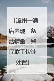 漳州一酒店内现一条活鳄鱼，警民联手快速处置