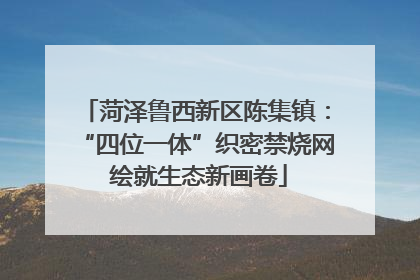 菏泽鲁西新区陈集镇：“四位一体”织密禁烧网 绘就生态新画卷