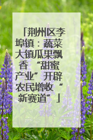 荆州区李埠镇：蔬菜大镇瓜果飘香 “甜蜜产业”开辟农民增收“新赛道”