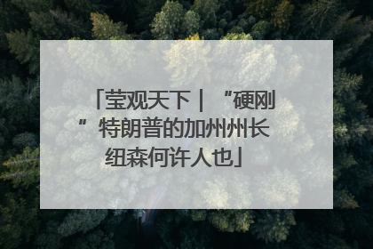 莹观天下｜“硬刚”特朗普的加州州长纽森何许人也