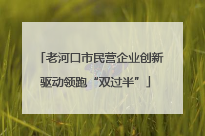 老河口市民营企业创新驱动领跑“双过半”