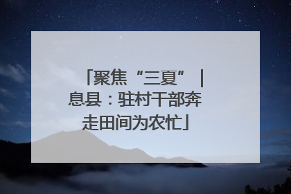聚焦“三夏”｜息县：驻村干部奔走田间为农忙